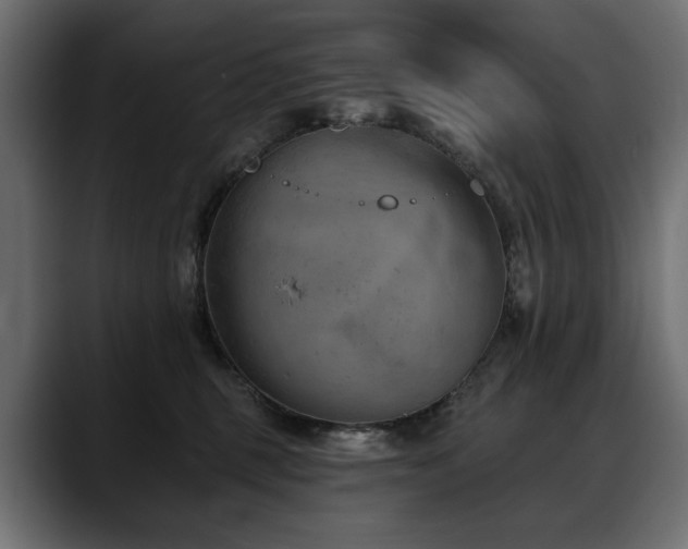 X0000088570375200705251122