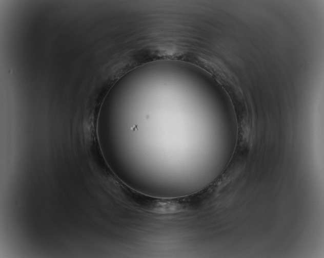 X0000088570376200705251122