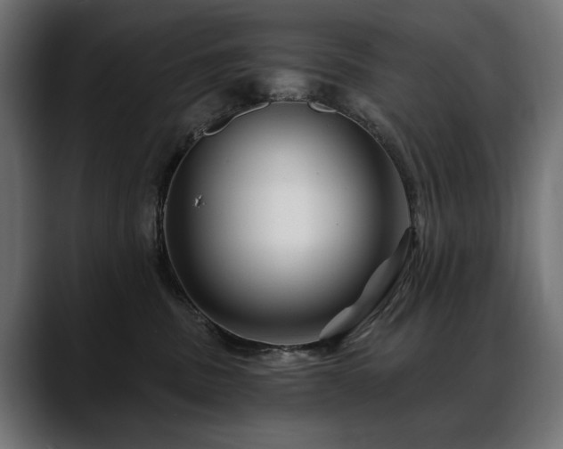 X0000088570379200705251122