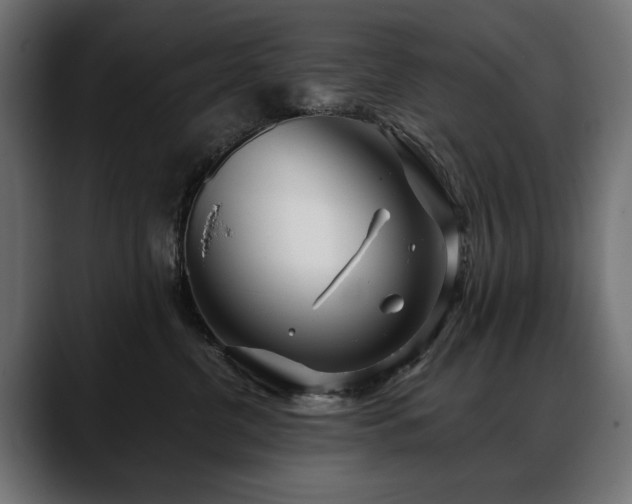 X0000088570380200705251122