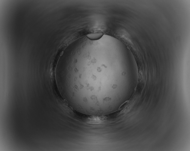 X0000088570381200705251122