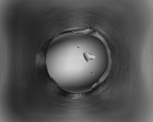 X0000088570384200705251122