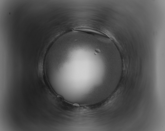 X0000088570386200705251122