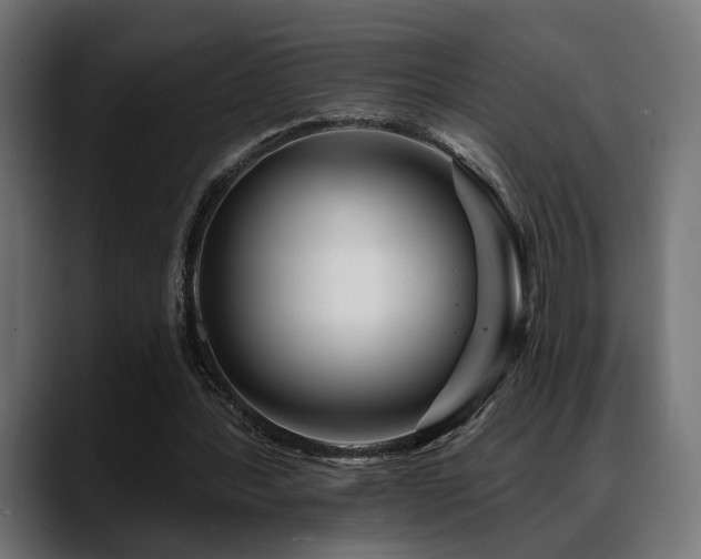 X0000088570388200705251122