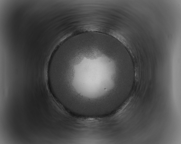 X0000088570390200705251122