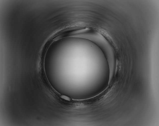 X0000088570392200705251122