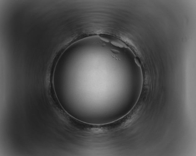X0000088570394200705251122