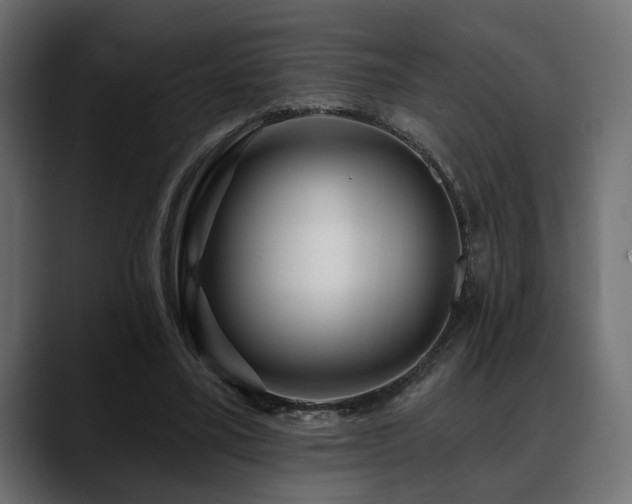 X0000088570395200705251122