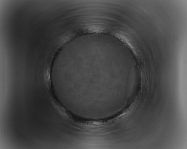 X0000088570398200705251122