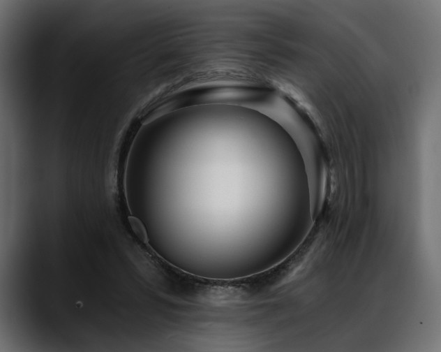 X0000088570399200705251122