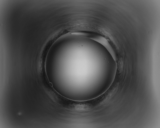 X0000088570400200705251122