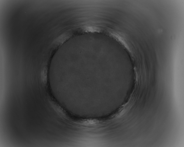 X0000088570402200705251122