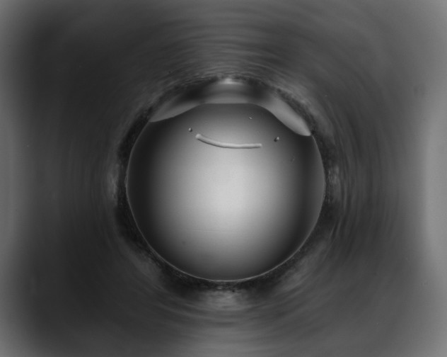 X0000088570404200705251122