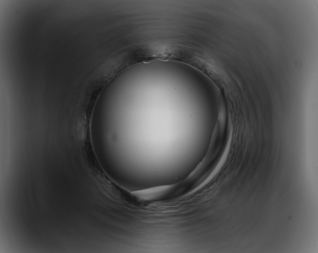 X0000088570413200705251121