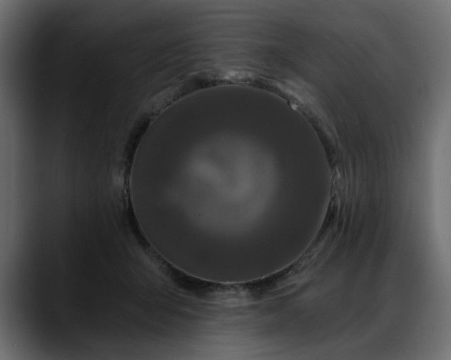 X0000088570415200705251121