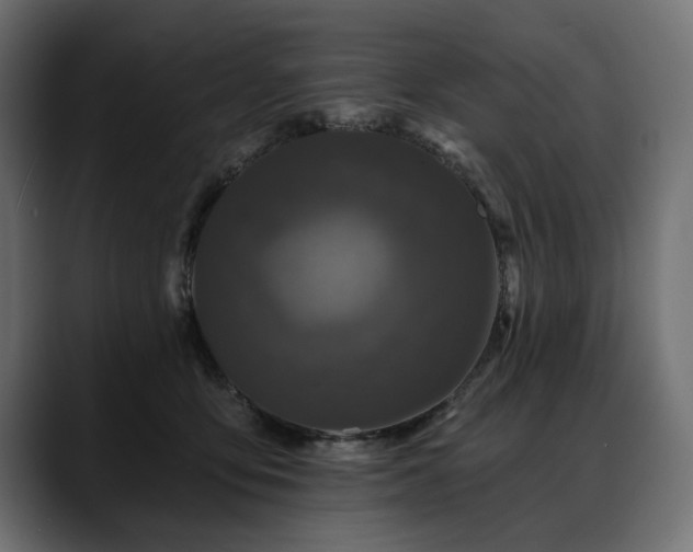 X0000088570419200705251121
