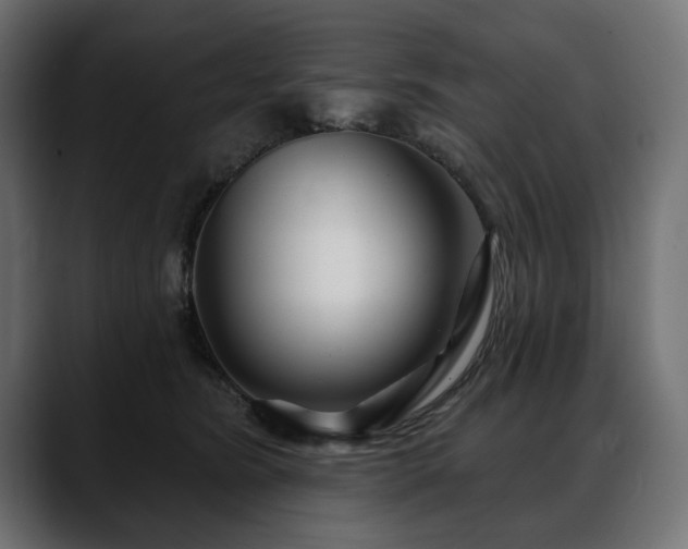 X0000088570420200705251121