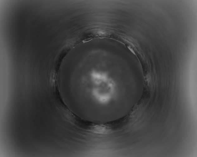 X0000088570423200705251121