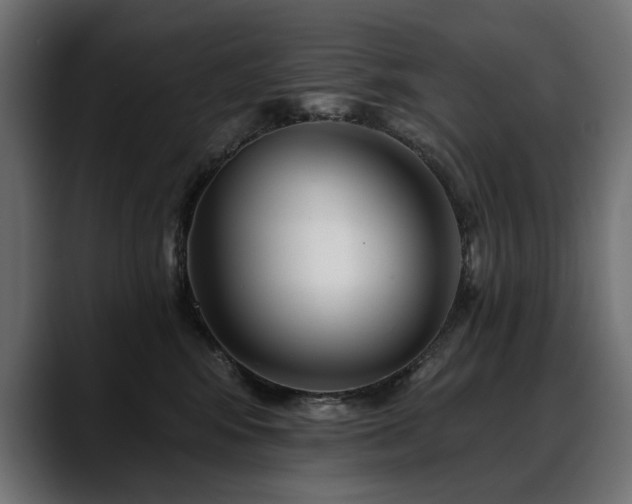 X0000088570424200705251121