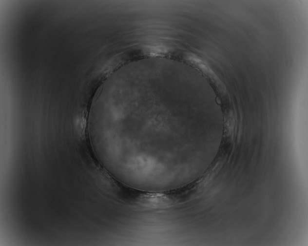 X0000088570427200705251121