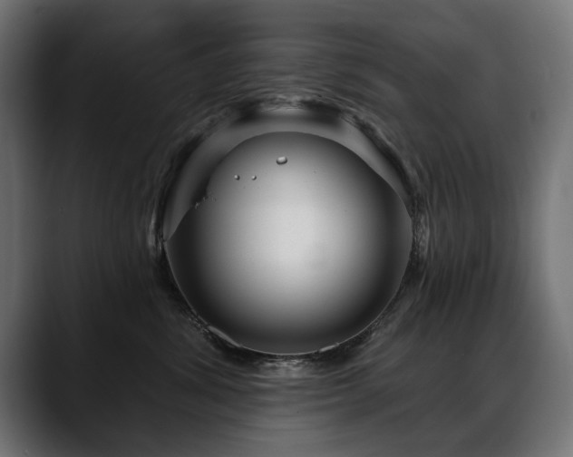 X0000088570428200705251121