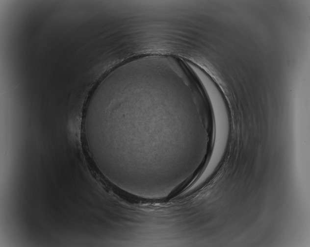 X0000088570434200705251121