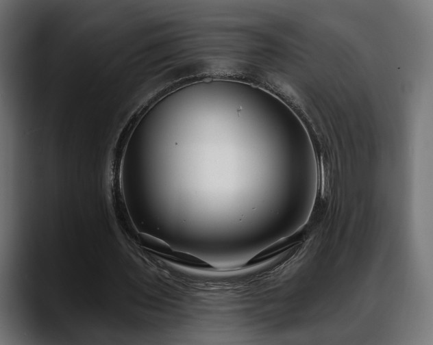 X0000088570435200705251121