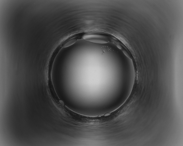 X0000088570438200705251121