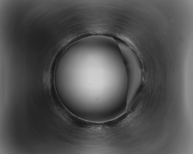 X0000088570439200705251121