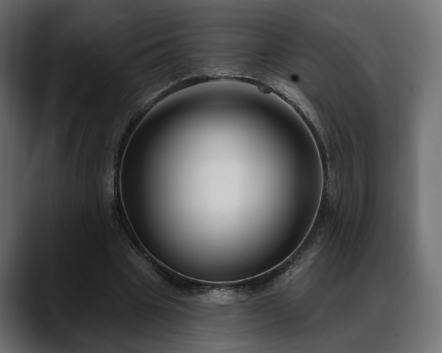 X0000088570441200705251121