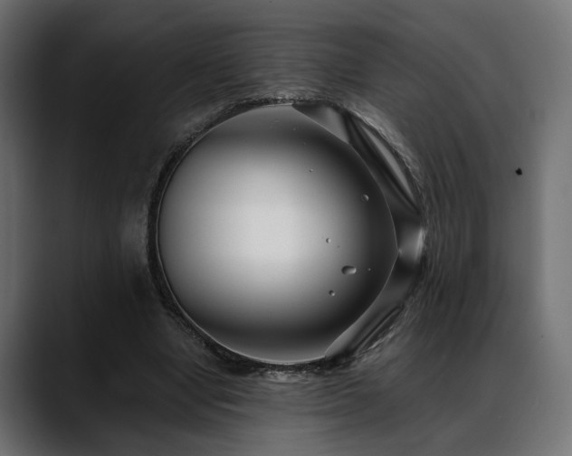 X0000088570442200705251121