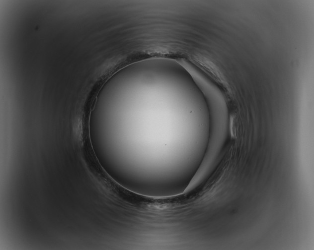 X0000088570444200705251121