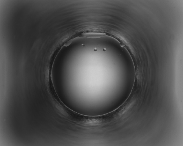 X0000088570445200705251121