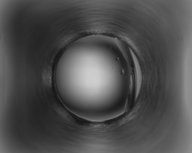 X0000088570446200705251121