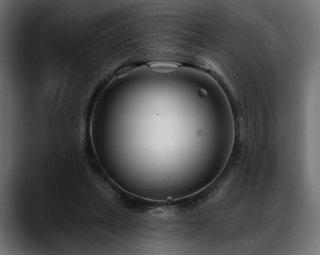X0000088570447200705251121