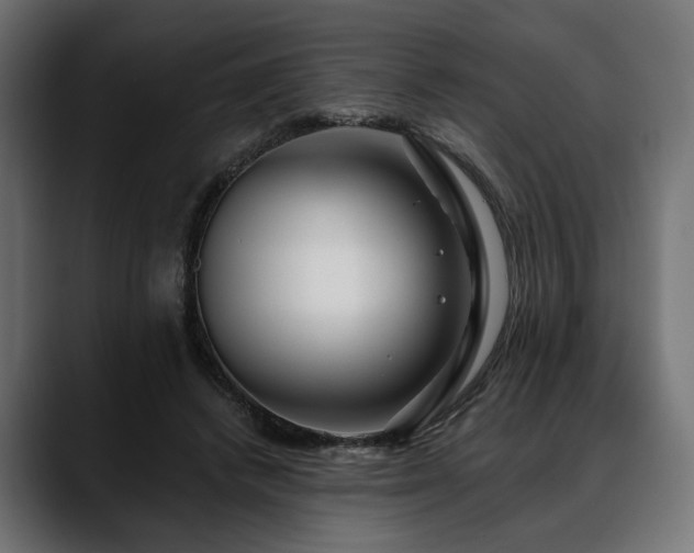 X0000088570448200705251121