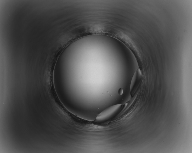 X0000088570449200705251121