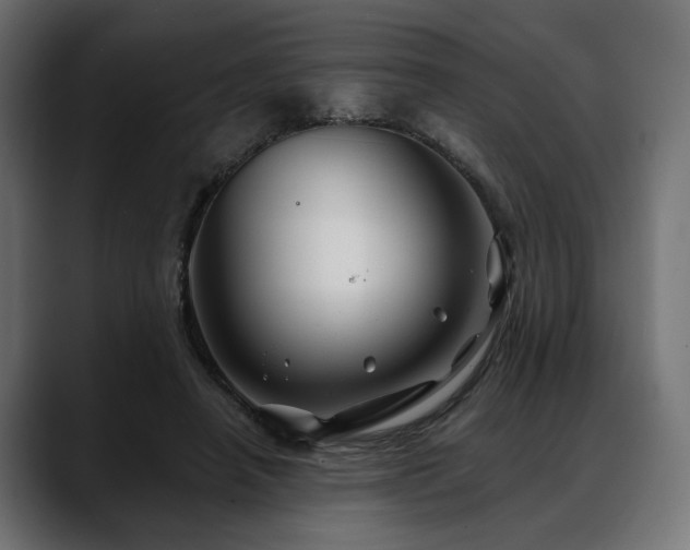 X0000088570450200705251121