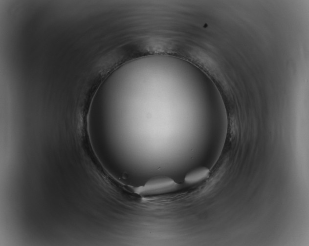 X0000088570453200705251121