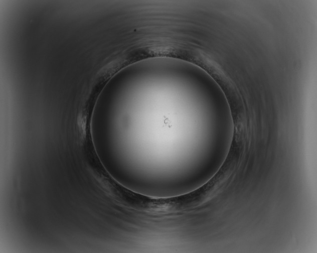 X0000088570454200705251121
