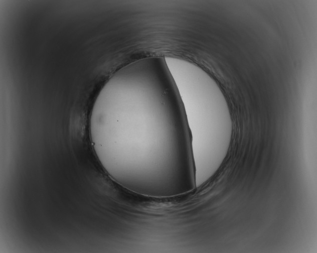 X0000088570458200705251121