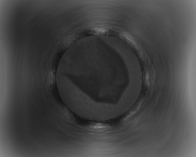 X0000088570467200705251121