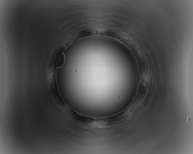 X0000088570468200705251121