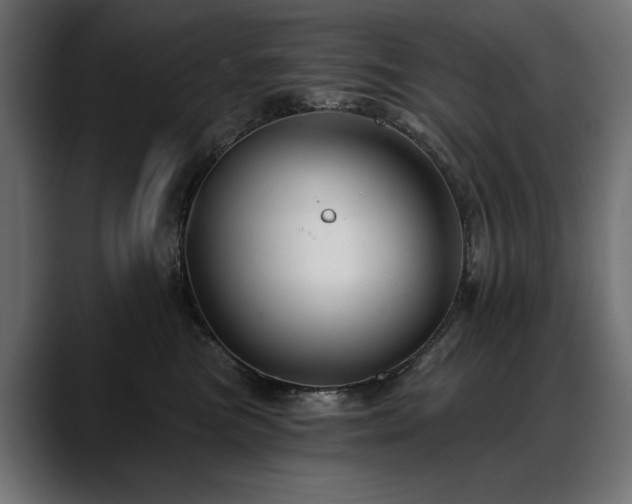 X0000088570473200705251121