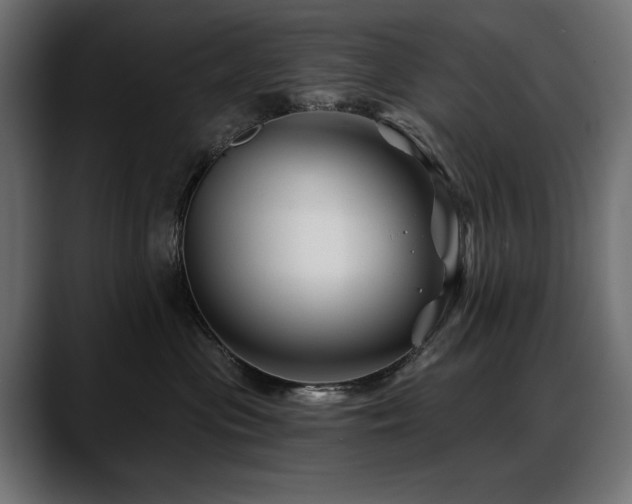 X0000088570477200705251121