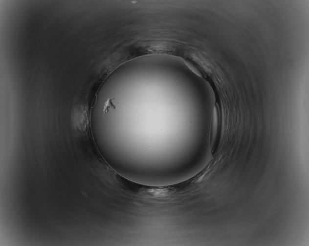 X0000088570478200705251121