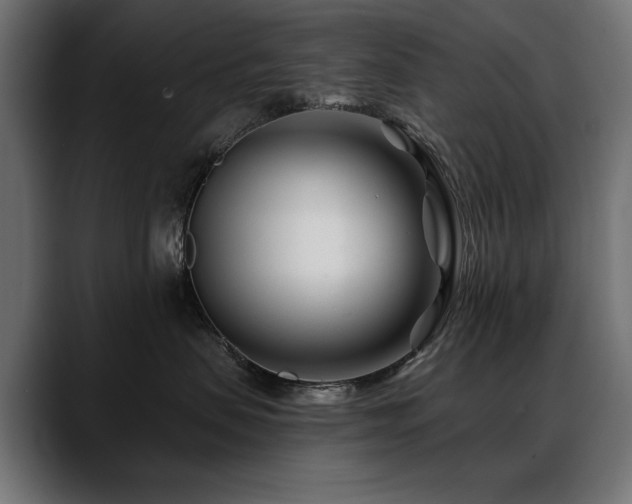 X0000088570479200705251121