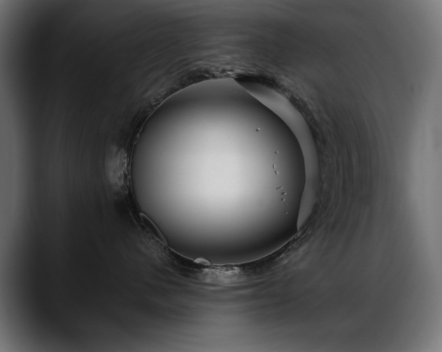X0000088570480200705251121
