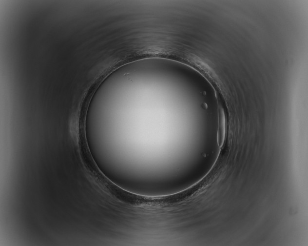 X0000088570482200705251121