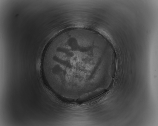 X0000088570483200705251121